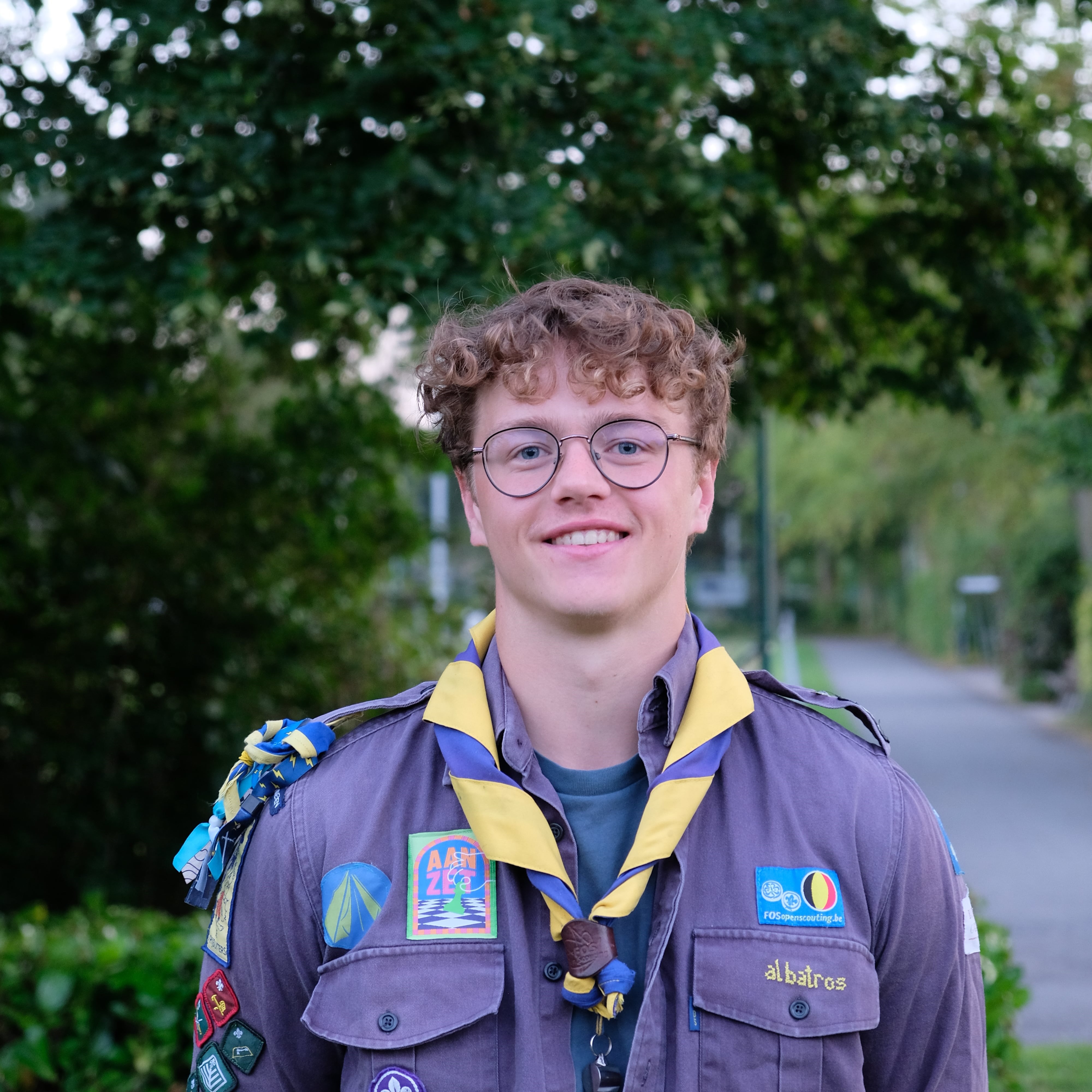 Afbeelding van Albatros