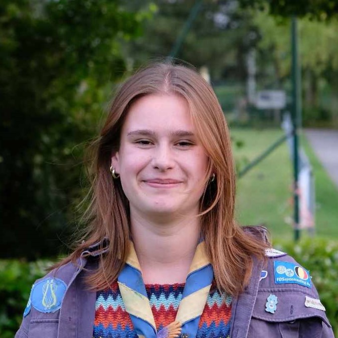 Afbeelding van Kemphaan