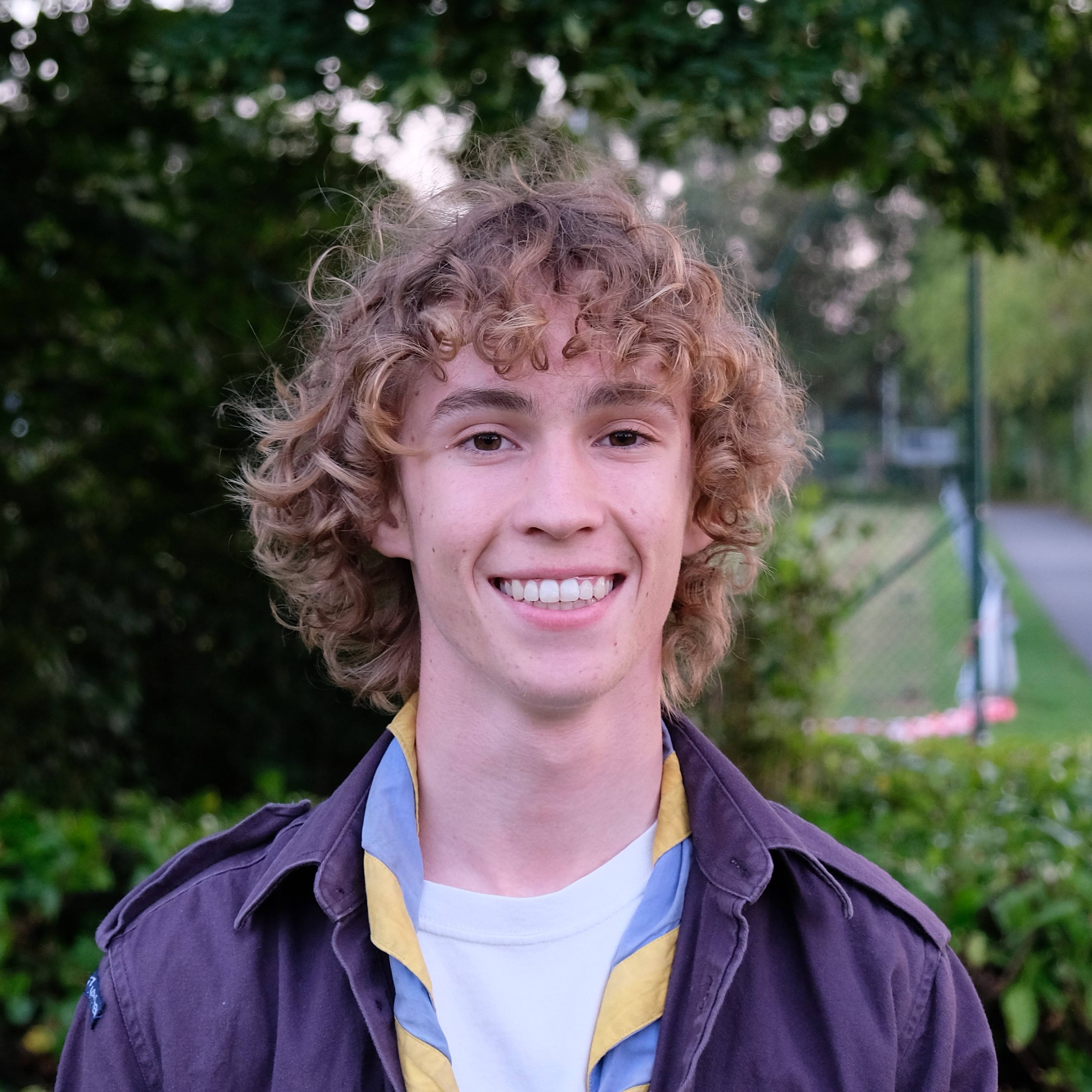 Afbeelding van Piko